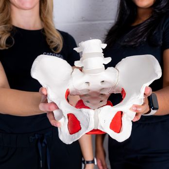 Cadence Physiotherapy - pelvic health physiotherapy is one of our specialities! - Physical Therapy Near Me - Toronto, Ontario