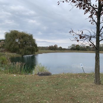 Blue Sky Vineyard - View of the pond - Wineries Near Me - Makanda, Illinois