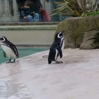 Blackpool Zoo - Zoos Near Me - Blackpool, BPL Blackpool Zoo - Zoos Near Me - Blackpool, BPL
