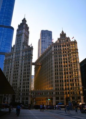 The Wrigley Building by null