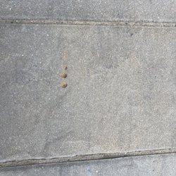 Caribbean Pools & Spas - Damaged paver