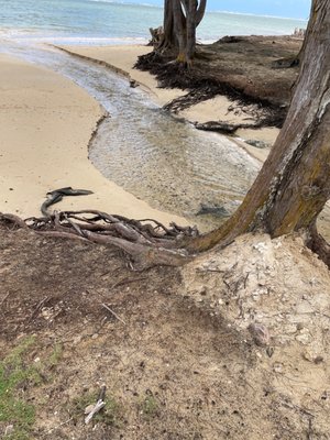 Punaluʻu Beach by null