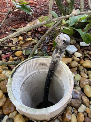 Drain cleaning expert - Please give us a call
A drain cleaning expert is waiting for your call Drain cleaning expert - Please give us a call
A drain cleaning expert is waiting for your call