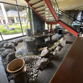 Roy's Hawaii Kai - Koi pond at Roy's. - Hawaiian Near Me - Honolulu, Hawaii Roy's Hawaii Kai - Koi pond at Roy's. - Hawaiian Near Me - Honolulu, Hawaii