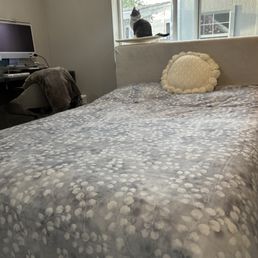 Bet set and duvet