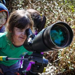 Mother Earth's Children Preschool - Hoping to glimpse a Monarch butterfly
