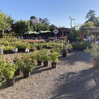 Gazebo Gardens - Nurseries & Gardening Near Me - Fresno, California Gazebo Gardens - Nurseries & Gardening Near Me - Fresno, California