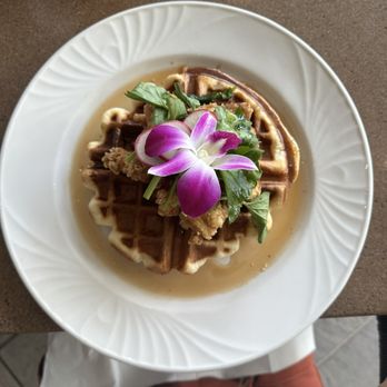 Splash Bar - Garlic Fried Chicken & Butter Mochi Waffles - Asian Fusion Near Me - Honolulu, Hawaii Splash Bar - Garlic Fried Chicken & Butter Mochi Waffles - Asian Fusion Near Me - Honolulu, Hawaii