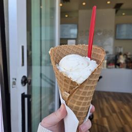 Ice Cream Waffle Cone
