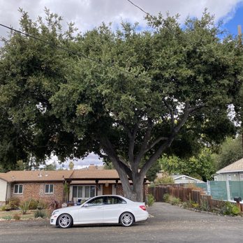 New Leaf Tree Service - Tree Services Near Me New Leaf Tree Service - Tree Services Near Me