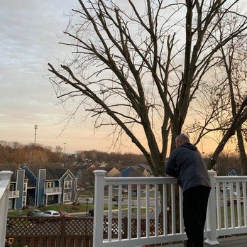 USA Tree Services - My husband enjoying the view of our beautifully trimmed tree. This tree was 2/3 taller beforehand. - Tree Services Near Me - Linthicum Heights, Maryland