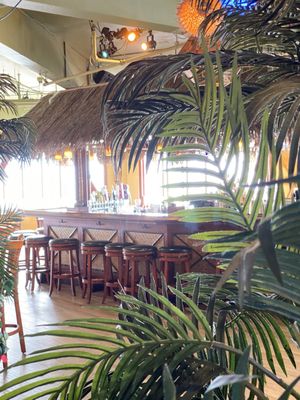 Luau Lounge by null