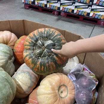 Costco - Pumpkins - Wholesale Stores Near Me - Alhambra, California Costco - Pumpkins - Wholesale Stores Near Me - Alhambra, California