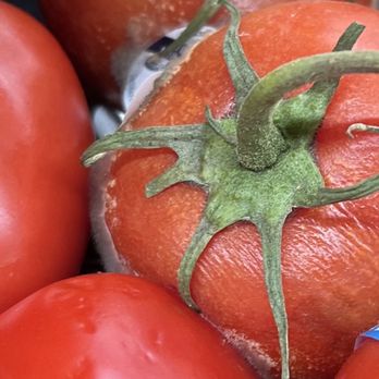 Vons - Extremely molded tomatoes - haven't been rotated in a very long time - Grocery Near Me - San Dimas, California