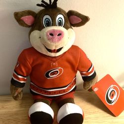 Carolina Hurricanes - I'm definitely a hockey fan. I love the team toys. I received this as a gift. I've got friends that live in North Carolina. 02/06/24