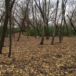 Carlson Dog Park