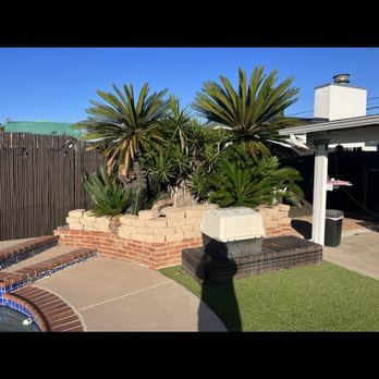 Domingo Landscaping - removed these plants and bricks - Tree Services Near Me