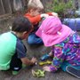 Photo of The Child Centered Home
