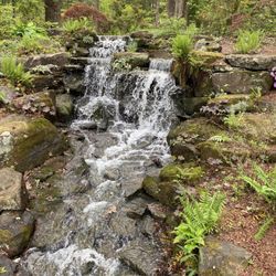 Azalea Path Arboretum And Bontanical Garden - Lovely waterfall feature