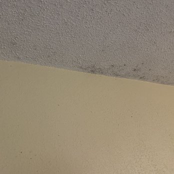 Comfort Inn - Moldy ceilings from leaks - Hotels Near Me - Pine Grove, Pennsylvania