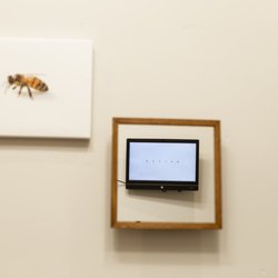 Adam's Eyecare - Dr. Heiner may test your vision by asking you to read the letters in this mirror.