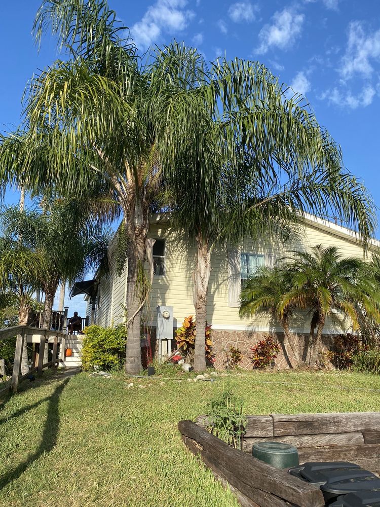 B J’S MOBILE HOMES Updated September 2024 14911 US 19, Hudson