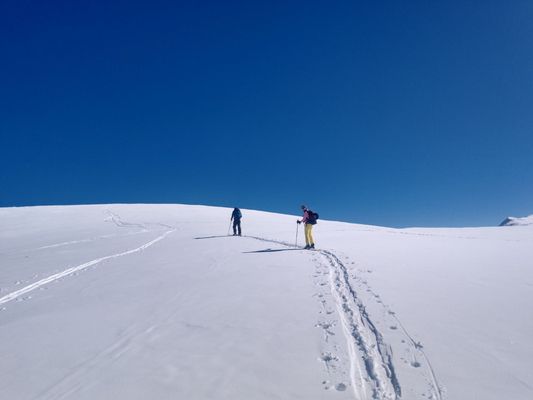 Paragon Guides by null