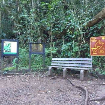 Makiki Valley Trail - Hiking Near Me - Honolulu, Hawaii Makiki Valley Trail - Hiking Near Me - Honolulu, Hawaii