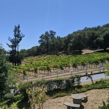 Woodenhead Wines - 08-15-2020 View from the patio - Wineries Near Me - Santa Rosa, California
