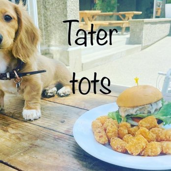 Public House - Our puppy named Tater Tot lol - Food Court Near Me - Springfield, Oregon