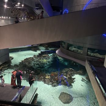 National Aquarium - Aquariums Near Me - Baltimore, Maryland National Aquarium - Aquariums Near Me - Baltimore, Maryland