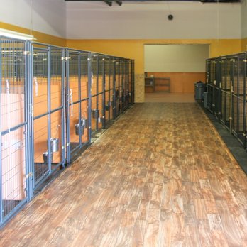 Dogs Downtown - Pet Training Near Me - Chantilly, Virginia