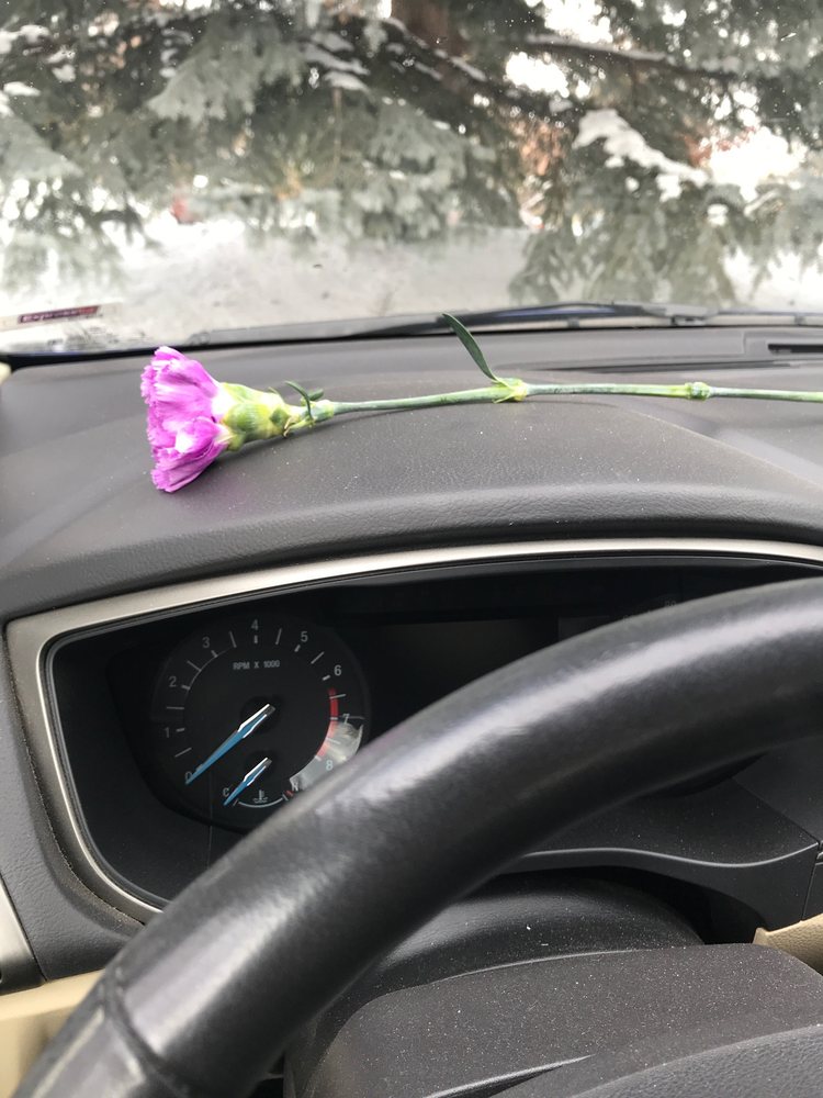 GREASE MONKEY 27 Reviews Oil Change Stations 1036 Oakridge, Ft. Collins, CO Phone Number