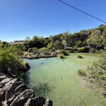 Japanese Tea Garden - Cute creek/pond with koi fish and turtles - Landmarks & Historical Buildings Near Me - San Antonio, Texas Japanese Tea Garden - Cute creek/pond with koi fish and turtles - Landmarks & Historical Buildings Near Me - San Antonio, Texas