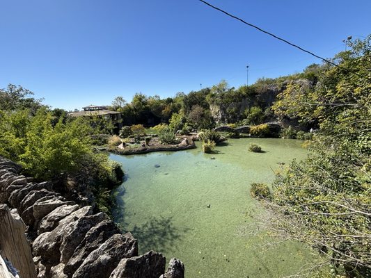 Japanese Tea Garden by null