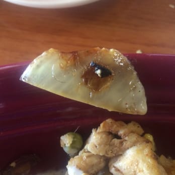 Mi Casita - A small black hair on a piece onion that was on my plate. - Mexican Near Me - Georgetown, Kentucky Mi Casita - A small black hair on a piece onion that was on my plate. - Mexican Near Me - Georgetown, Kentucky