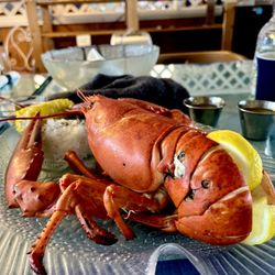 Lobster Galley - Lobster