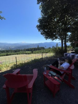 South Hill Winery by null