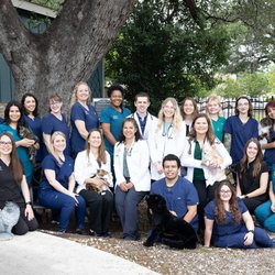 Manchaca Village Veterinary Care - Our team!