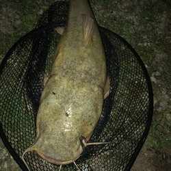 Sherry's Fishg Lake