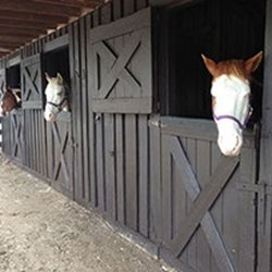 Skyland Stables - Horses in Skyland Resort Stables at Shenandoah National Park