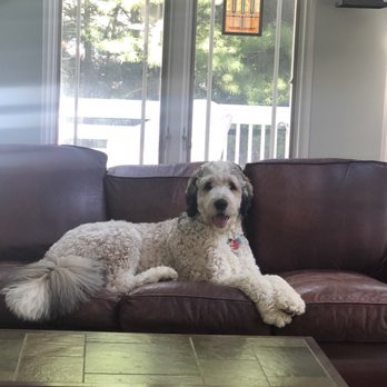 Barks Bed And Biscuit - Pet Groomers Near Me - Denville, New Jersey