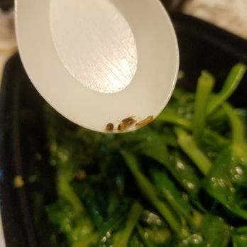 Congee Queen - The other bugs I have found + maybe a larva??? - Chinese Near Me - Scarborough, Ontario Congee Queen - The other bugs I have found + maybe a larva??? - Chinese Near Me - Scarborough, Ontario