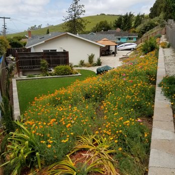 System Pavers - Partial view of hardscaping done by System Pavers - Masonry/Concrete Near Me - Fremont, California System Pavers - Partial view of hardscaping done by System Pavers - Masonry/Concrete Near Me - Fremont, California