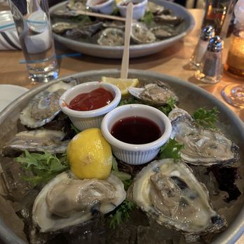 The Robinson Ale House - oysters from the raw bar, cocktail sauce, mignonette, horseradish on request - American Near Me - Asbury Park, New Jersey The Robinson Ale House - oysters from the raw bar, cocktail sauce, mignonette, horseradish on request - American Near Me - Asbury Park, New Jersey