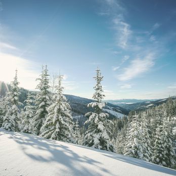 Schweitzer - Here's another epic view of this gorgeous mountain. The cozy sun hitting the powder. @isaiahphotons - Ski Resorts Near Me - Sandpoint, Idaho Schweitzer - Here's another epic view of this gorgeous mountain. The cozy sun hitting the powder. @isaiahphotons - Ski Resorts Near Me - Sandpoint, Idaho