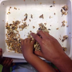 Association Graine d'Ecole - Faire des boules de graisse pour les oiseaux