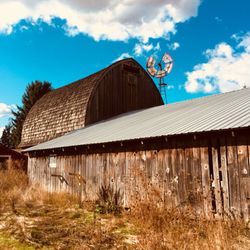 U-Pick Chestnuts - Old filbert and tractor pull barn