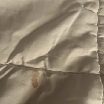 Embassy Suites by Hilton Springfield - Blood stain on comforter when we checked into room - Hotels Near Me - Springfield, Virginia