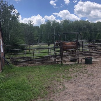 Shire in the Woods - Horse at Shire in the Woods - Vacation Rentals Near Me - McGrath, Minnesota